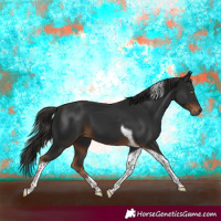 Horse Color:Gray Liver Chestnut Tobiano