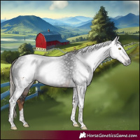 Horse Color:Gray Liver Chestnut Tobiano 