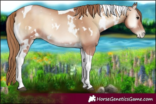 Horse Color:White Spotted Blue Onyx Pearl Tobiano 