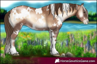 Horse Color:White Spotted Liver Red Onyx Pearl 