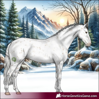Horse Color:Silver Brown Dun Sabino 