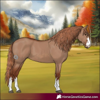 Horse Color:Red Dun 