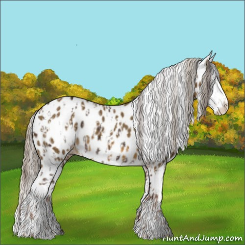 Horse Color:Liver Chestnut Sabino Splash Appaloosa  and Chocolate Palomino Sabino Splash Appaloosa 