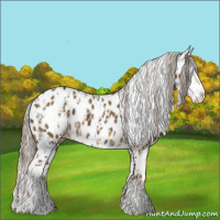 Horse Color:Liver Chestnut Sabino Splash Appaloosa  and Chocolate Palomino Sabino Splash Appaloosa 