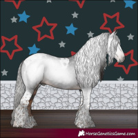 Horse Color:Gray Liver Chestnut Tobiano 