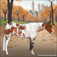 Horse Color:White Spotted Silver Brown Sabino Rabicano 