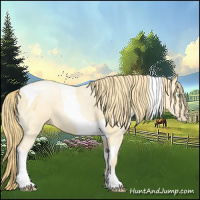 Horse Color:Buckskin Roan Pearl  and Buckskin Pearl Tobiano 