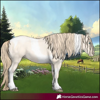 Horse Color:Buckskin Roan Pearl  and Buckskin Pearl Tobiano 