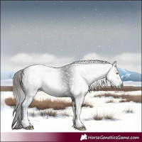 Horse Color:Gray Liver Chestnut Tobiano