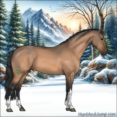 Horse Color:Bay Dun 