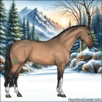 Horse Color:Bay Dun