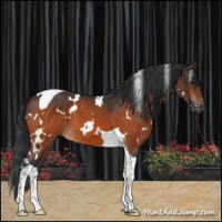 Horse Color:White Spotted Brown Tobiano 