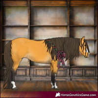 Horse Color:Buckskin 