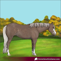 Horse Color:Silver Black 