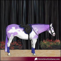 Horse Color:Watercolor Brown Splash Frame