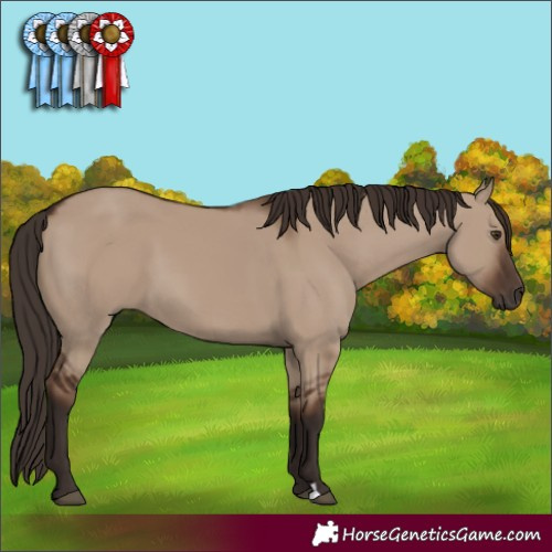 Horse Color:Liver Red Dun 