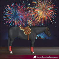 Horse Color:Black 