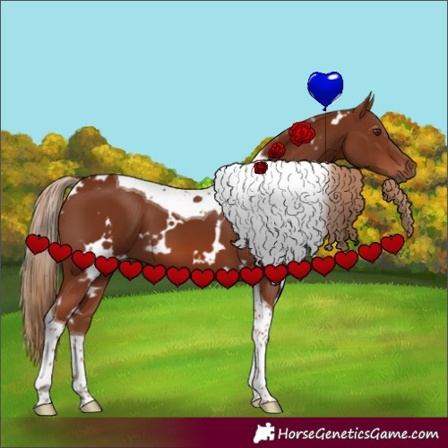 Horse Color:White Spotted Chestnut Tobiano 