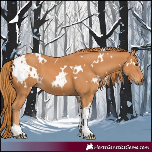 Horse Color:White Spotted Chestnut Tobiano 