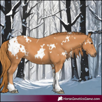 Horse Color:White Spotted Chestnut Tobiano 