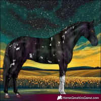 Horse Color:White Spotted Black Ice Tobiano 