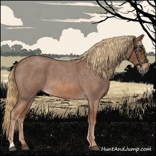 Horse Color:Red Roan 