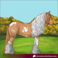 Horse Color:White Spotted Chestnut Tobiano