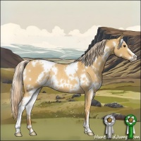 Horse Color:White Spotted Palomino Dun Sabino Rabicano 