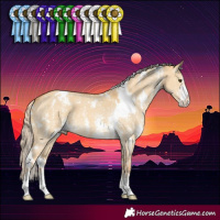 Horse Color:White Spotted Palomino Dun Sabino 