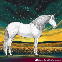 Horse Color:Liver Chestnut Sabino