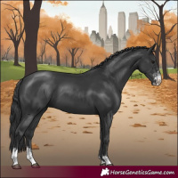 Horse Color:Black Sabino