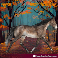 Horse Color:Brown Dun Sabino Brindle