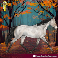 Horse Color:Brown Roan Dun Sabino Brindle 
