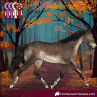 Horse Color:Gray Brown Dun Mushroom Sabino Tobiano Brindle