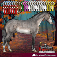 Horse Color:Brown Roan Dun Mushroom Sabino Rabicano Brindle 