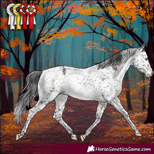 Horse Color:Brown Dun Mushroom Sabino Rabicano 