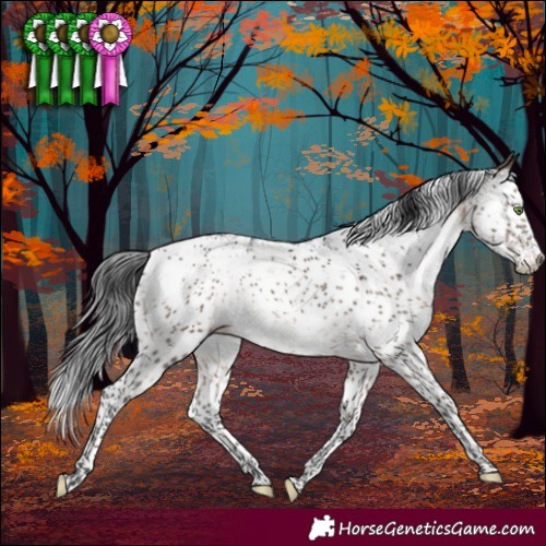 Horse Color:Brown Dun Mushroom Sabino Brindle 