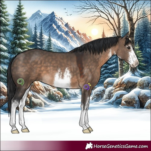 Horse Color:White Spotted Brown Dun 