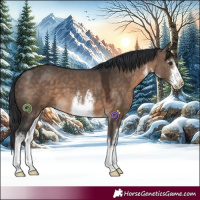Horse Color:White Spotted Brown Dun 