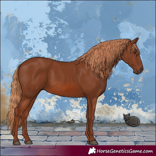 Horse Color:Chestnut 