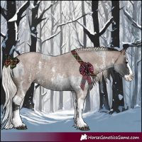 Horse Color:Blue Roan Sabino Splash  and Silver Blue Roan Sabino Splash 