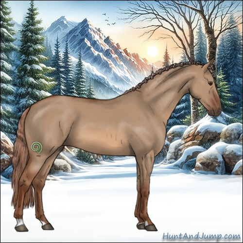 Horse Color:Red Dun 