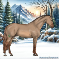 Horse Color:Red Dun 