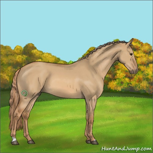 Horse Color:Red Dun 