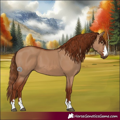 Horse Color:Red Dun