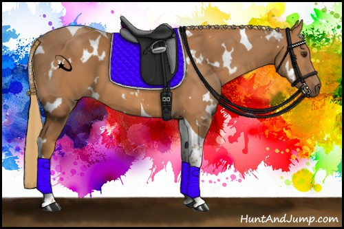 Horse Color:White Spotted Chestnut Tobiano 