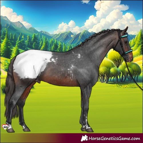 Horse Color:Brown Snowcap 