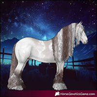 Horse Color:White Spotted Chocolate Bay Chinchilla 