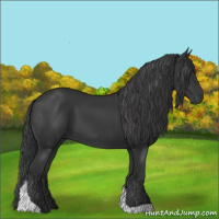 Horse Color:Black Tobiano Rabicano 