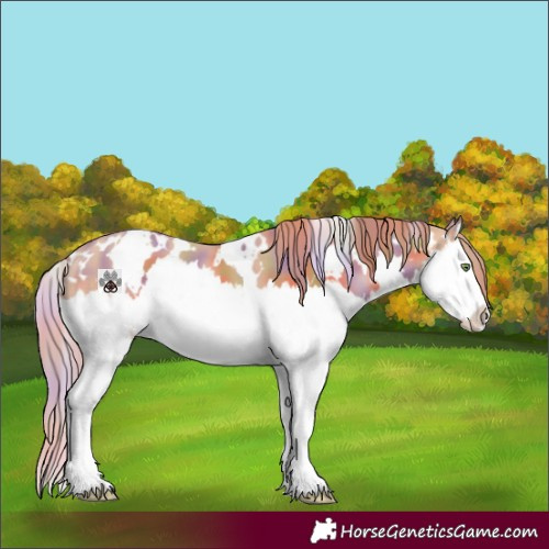 Horse Color:Nacre White Spotted Gold Champagne Splash 